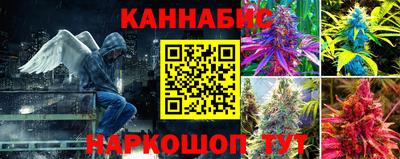 прущие грибы Гусев