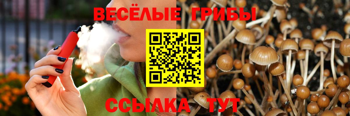 Лангепас  Псилоцибиновые грибы Magic Shrooms  Вход с VPN  Галлюциногенные грибы мухоморы 
